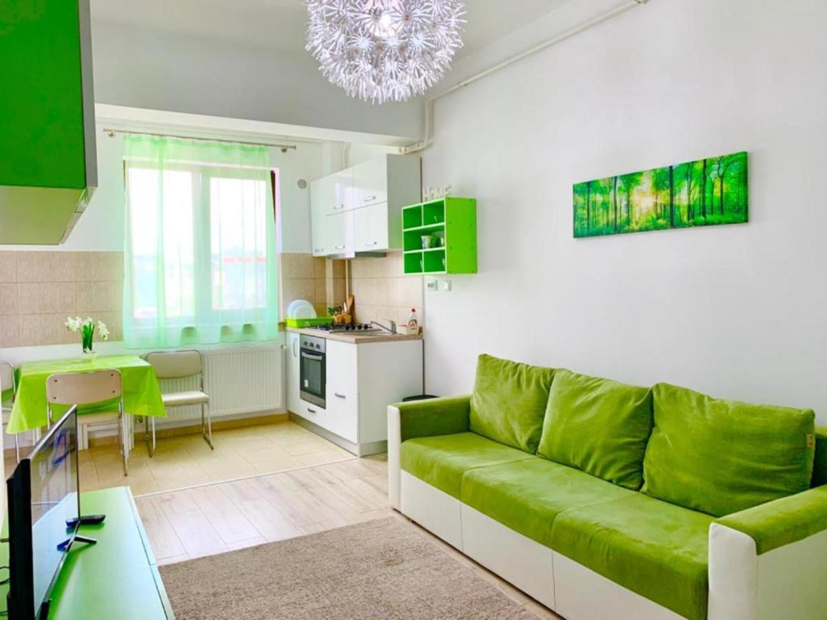 Palas View Apartments Near Palas Mall 이아시 외부 사진